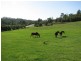 Picton NSW 2571