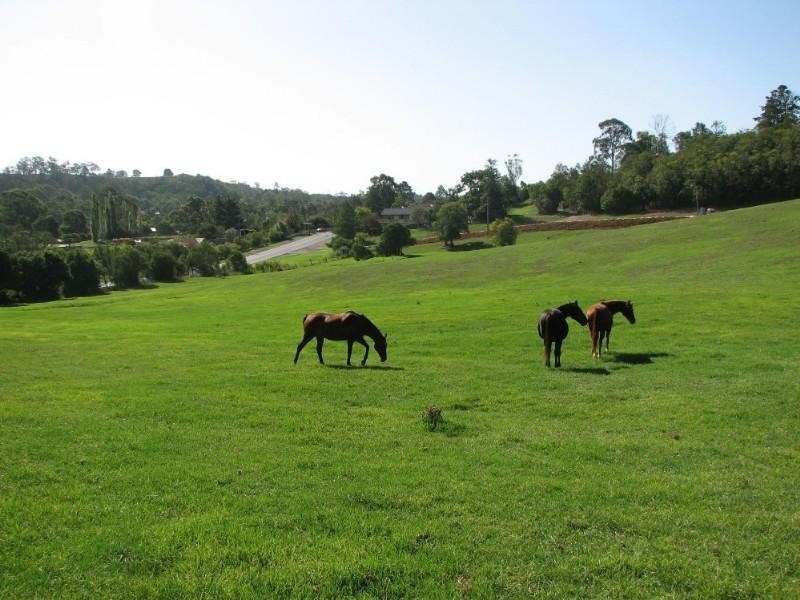 Picton NSW 2571