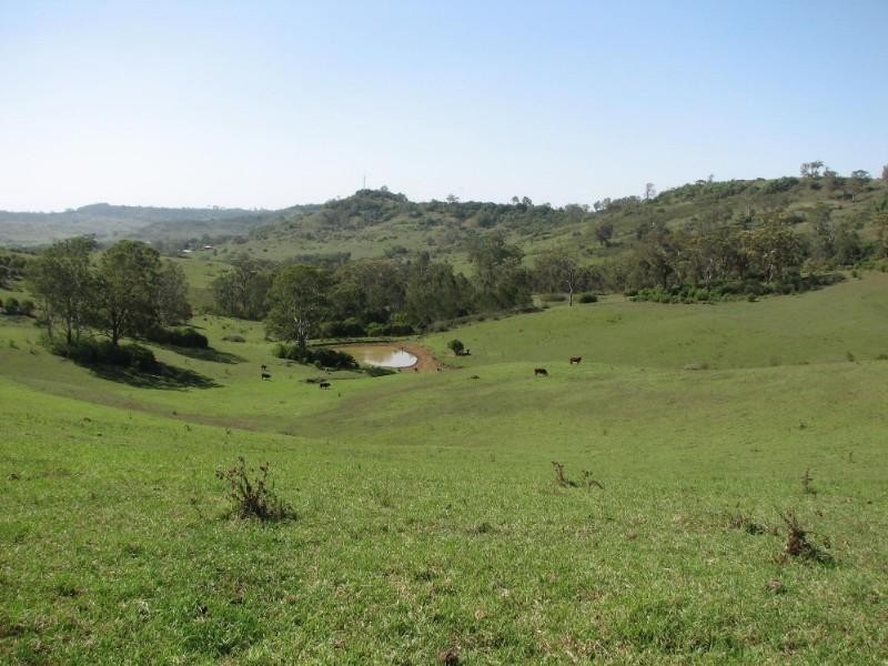 Picton NSW 2571