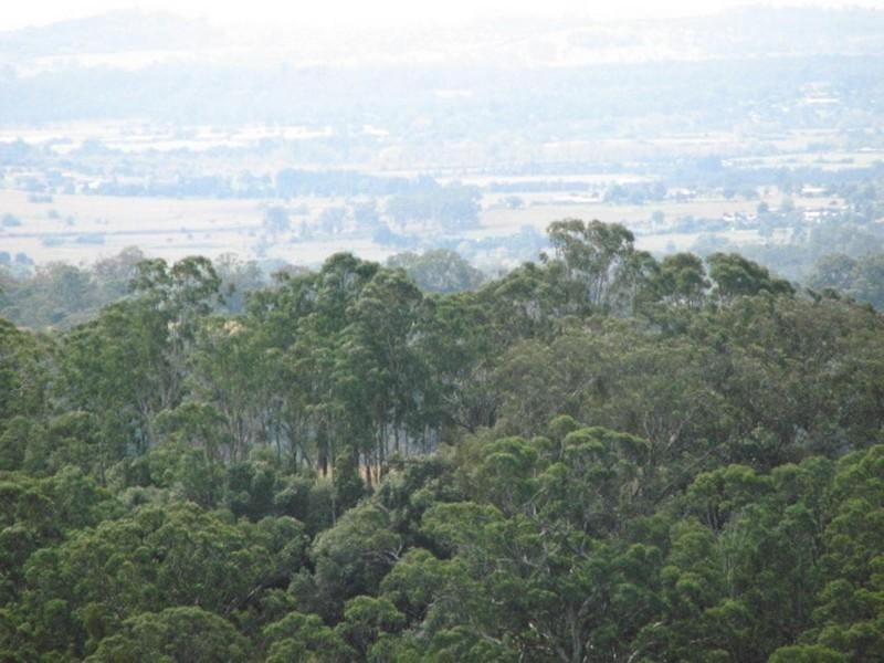 370 Mt Hercules Road, Razorback NSW 2571