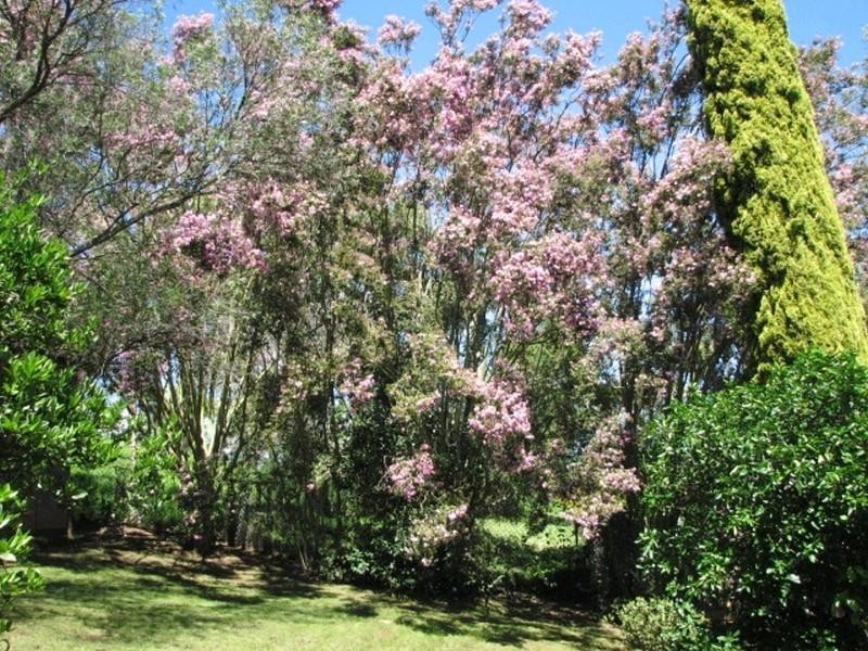 222 Menangle Street, Picton NSW 2571