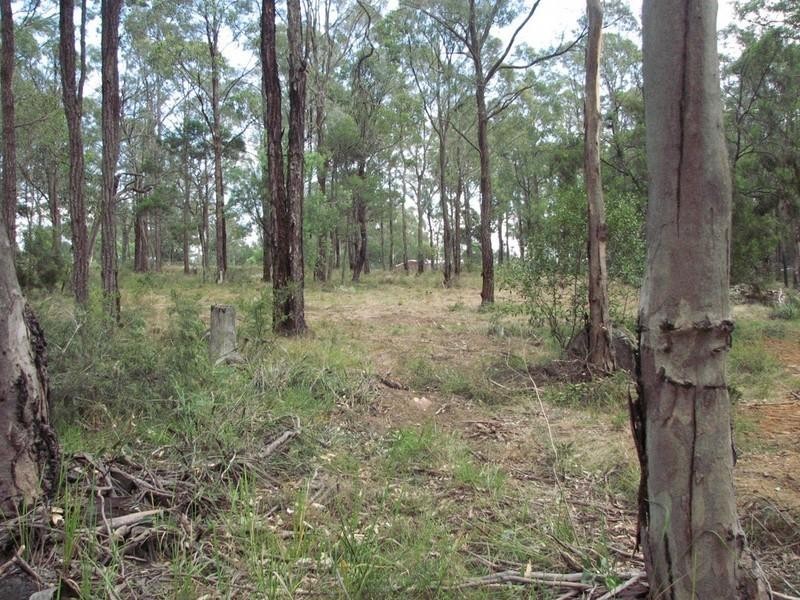 40 Whitticase Lane, Wilton NSW 2571