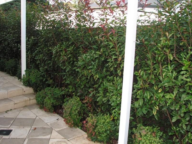 1/253 Argyle Street, Picton NSW 2571