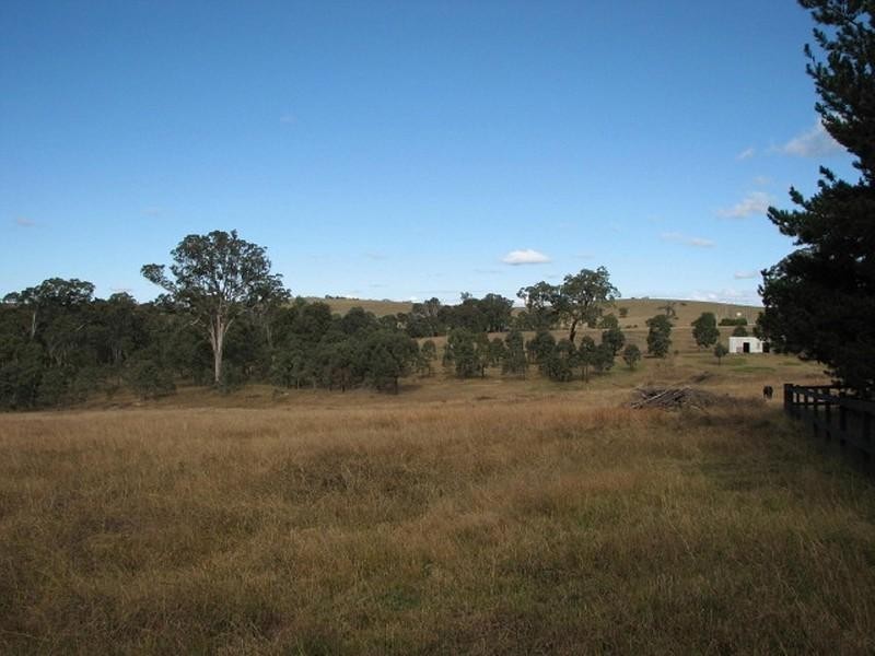 95 Condell Park Road, Wilton NSW 2571