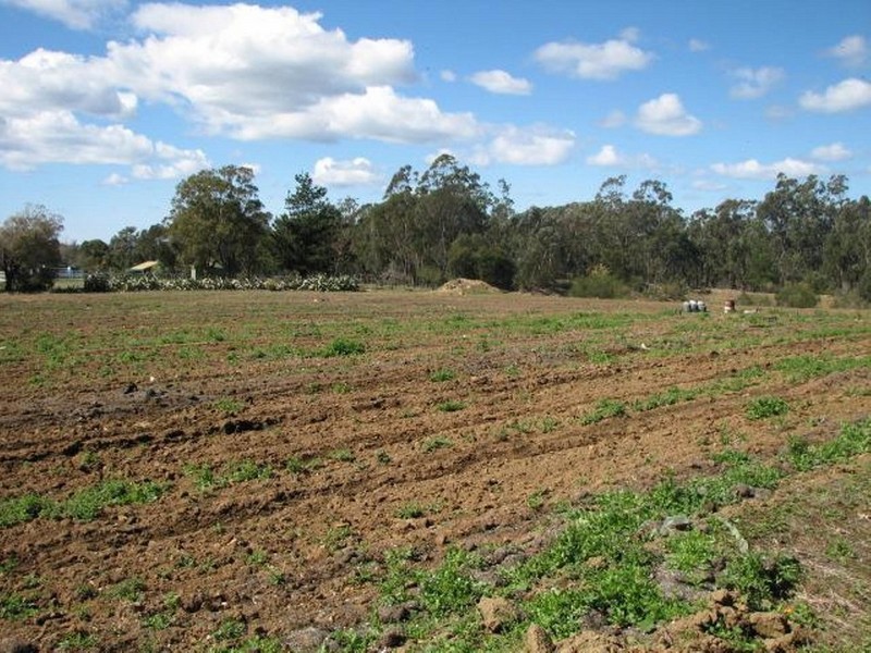 235 Bargo River Road, Tahmoor NSW 2573