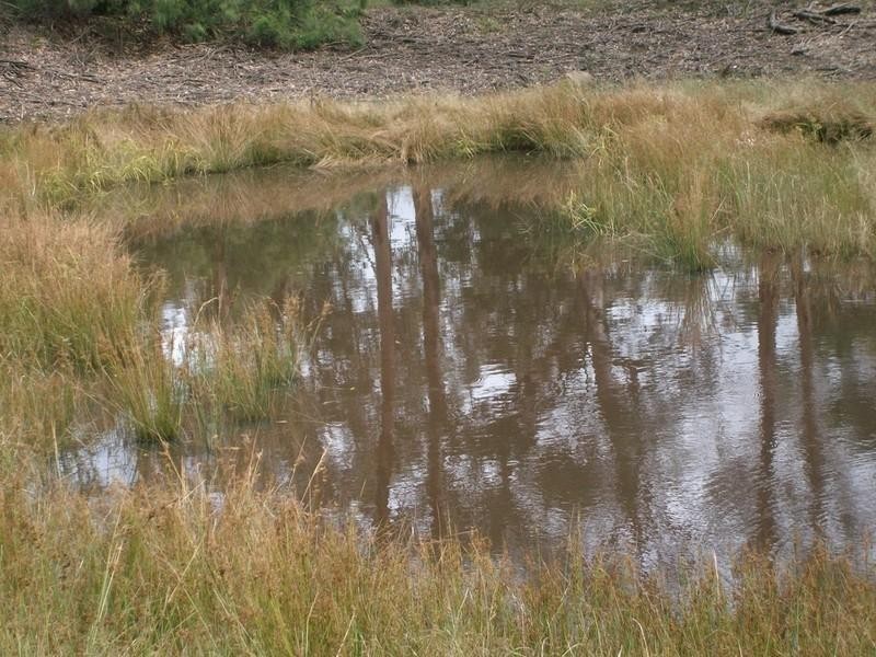 260 Pheasants Nest Road, Pheasants Nest NSW 2574