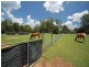 60 Ryan Street, Thirlmere NSW 2572