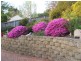 6 Bottlebrush Close, Picton NSW 2571