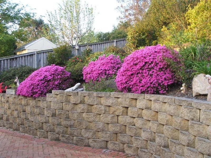 6 Bottlebrush Close, Picton NSW 2571