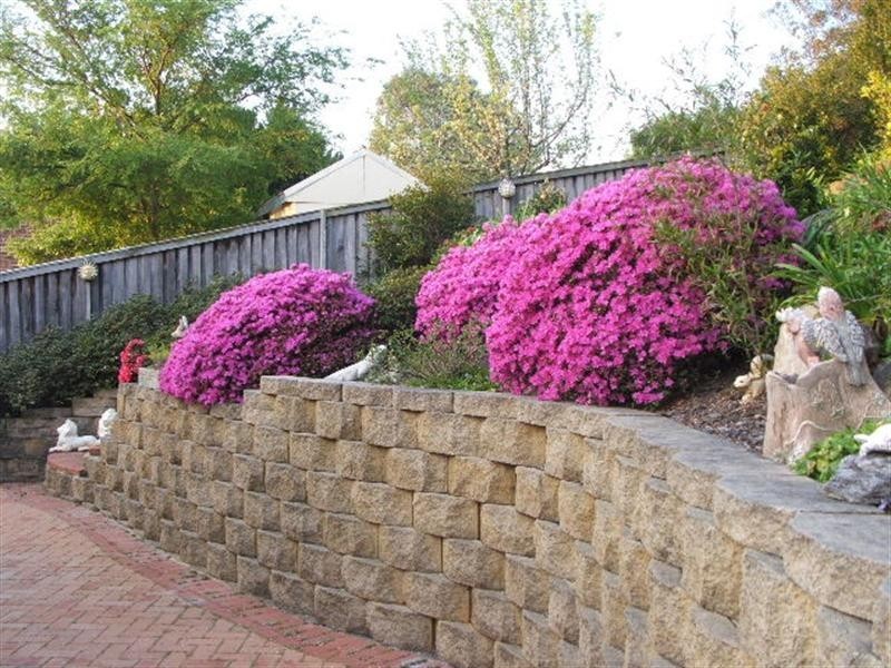 6 Bottlebrush Close, Picton NSW 2571