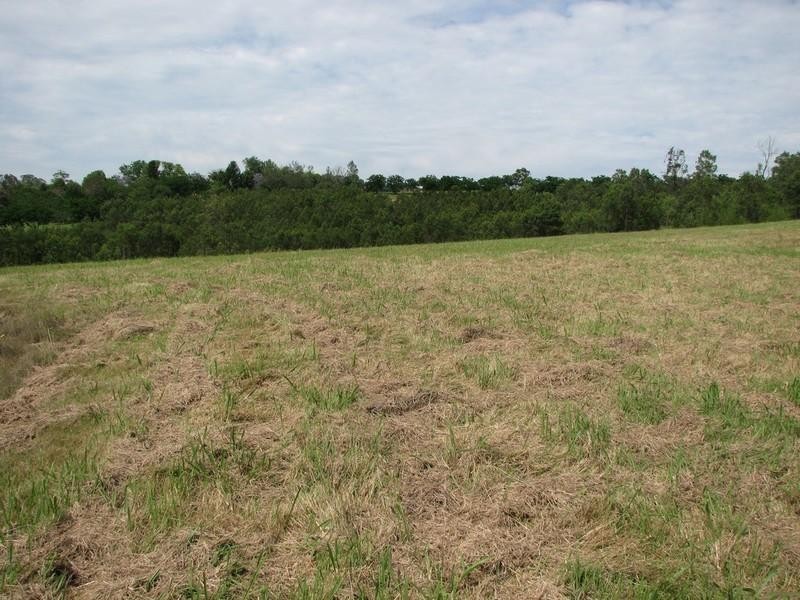 485 Argyle Street, Picton NSW 2571