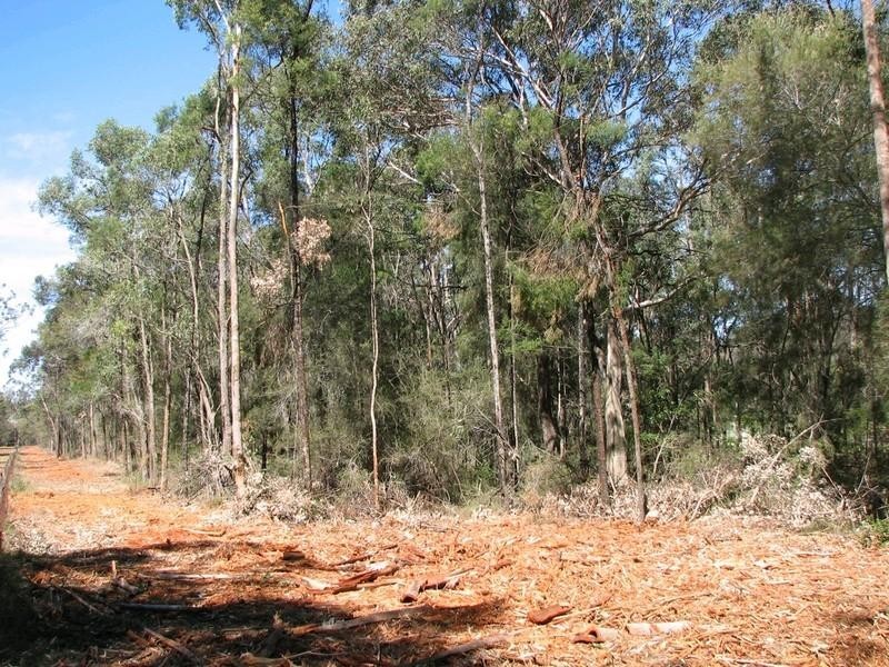 149 Mulhollands Road, Picton NSW 2571