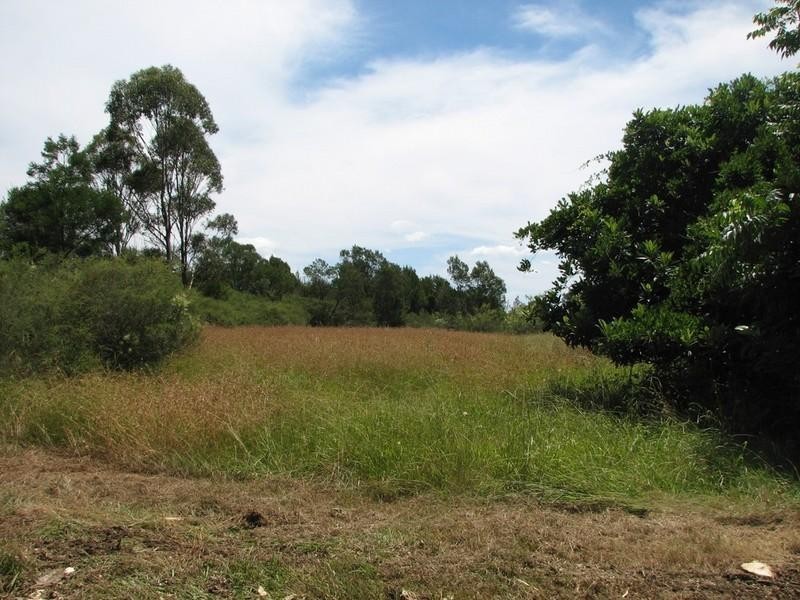 8 Peel Street, Wilton NSW 2571