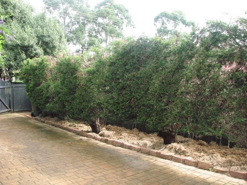 20 Wild Street, Picton NSW 2571