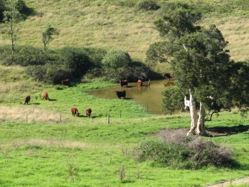 Wellington Park Rays Lane, Picton NSW 2571