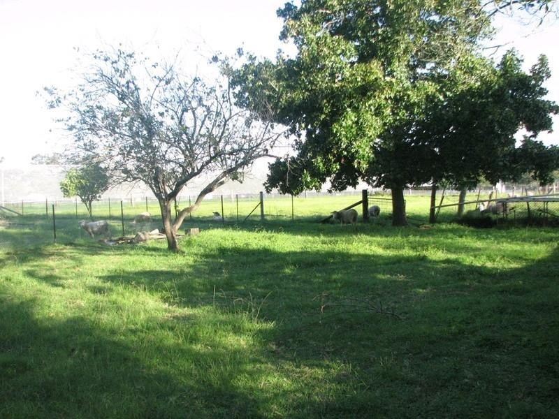 35 Nattai Street, Tahmoor NSW 2573