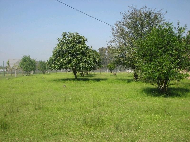 35 Nattai Street, Tahmoor NSW 2573