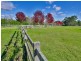 175 Arina Road, Bargo NSW 2574