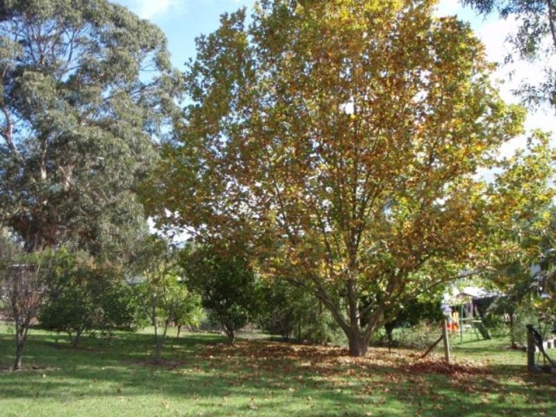 186 Menangle Street, Picton NSW 2571