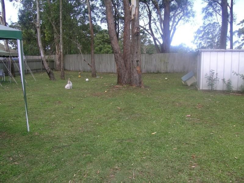 Port Macquarie NSW 2444