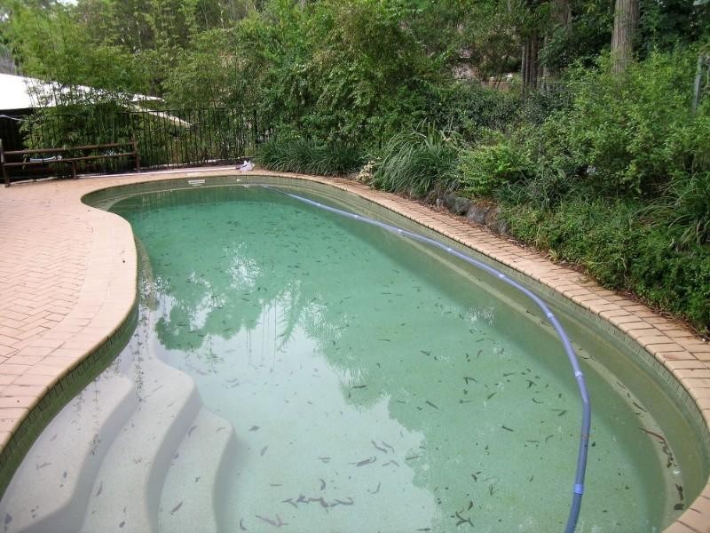 Port Macquarie NSW 2444