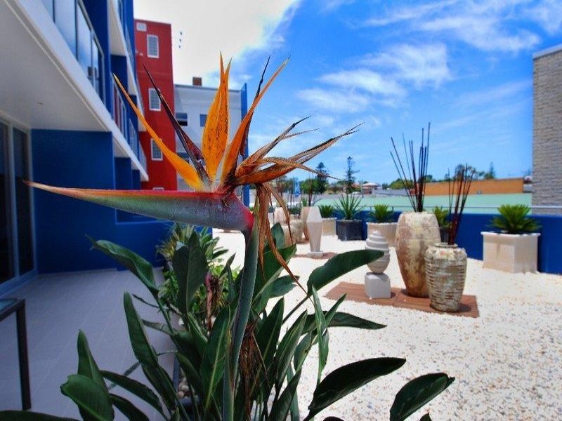 Port Macquarie NSW 2444