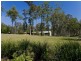 Sancrox NSW 2446