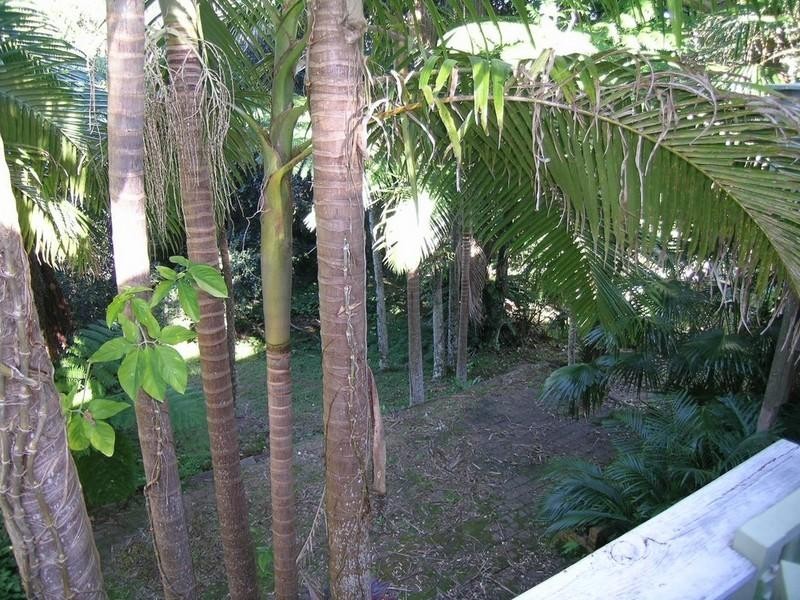 17 Lighthouse Road, Port Macquarie NSW 2444