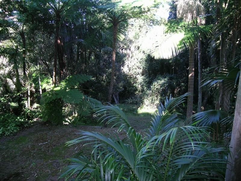 17 Lighthouse Road, Port Macquarie NSW 2444