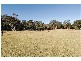 Salt Ash NSW 2318