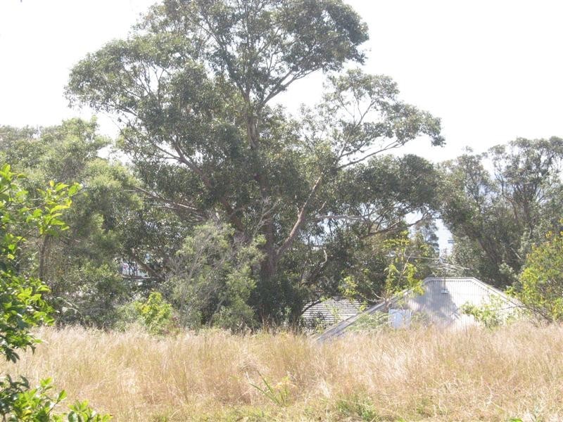 Lemon Tree Passage NSW 2319