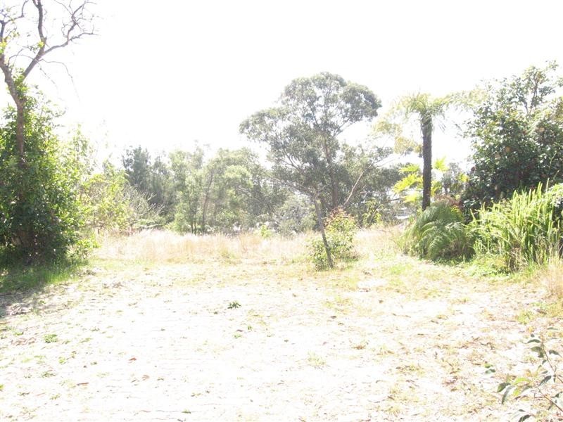 Lemon Tree Passage NSW 2319