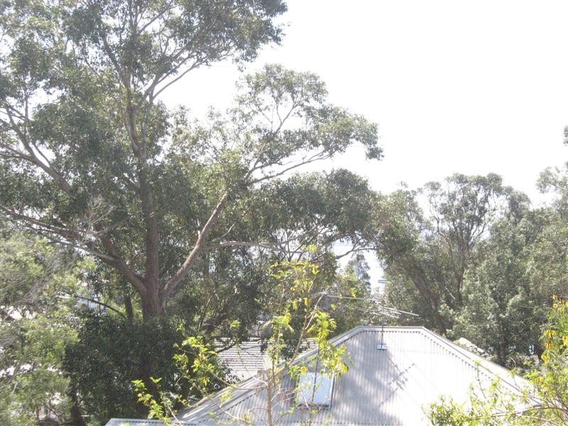 Lemon Tree Passage NSW 2319