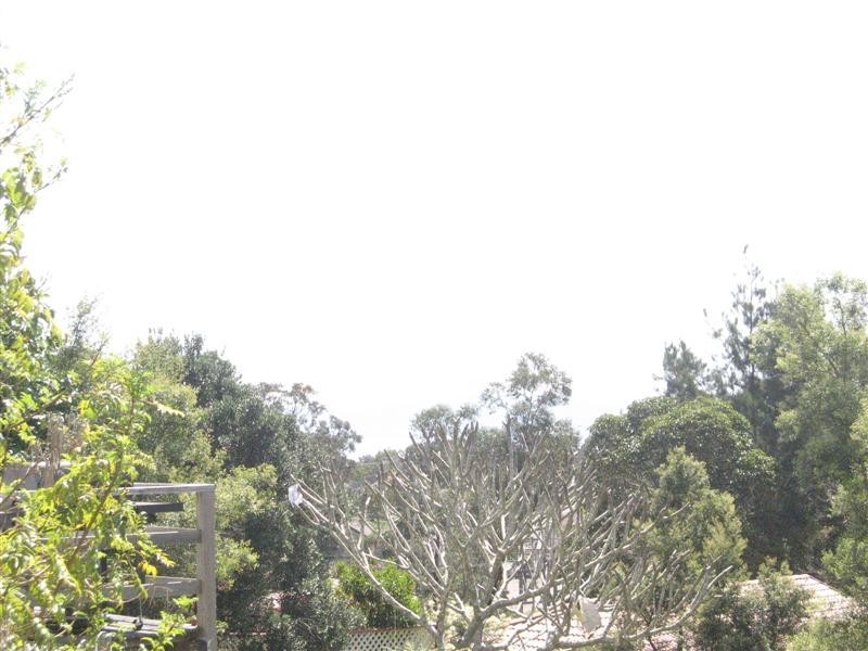 Lemon Tree Passage NSW 2319