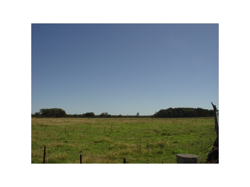 Williamtown NSW 2318