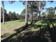 Lemon Tree Passage NSW 2319