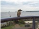Soldiers Point NSW 2317