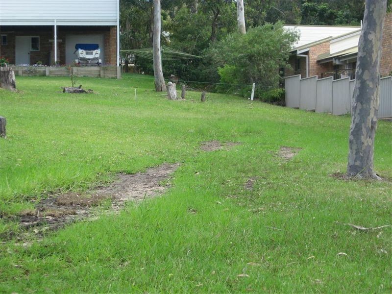 Lemon Tree Passage NSW 2319