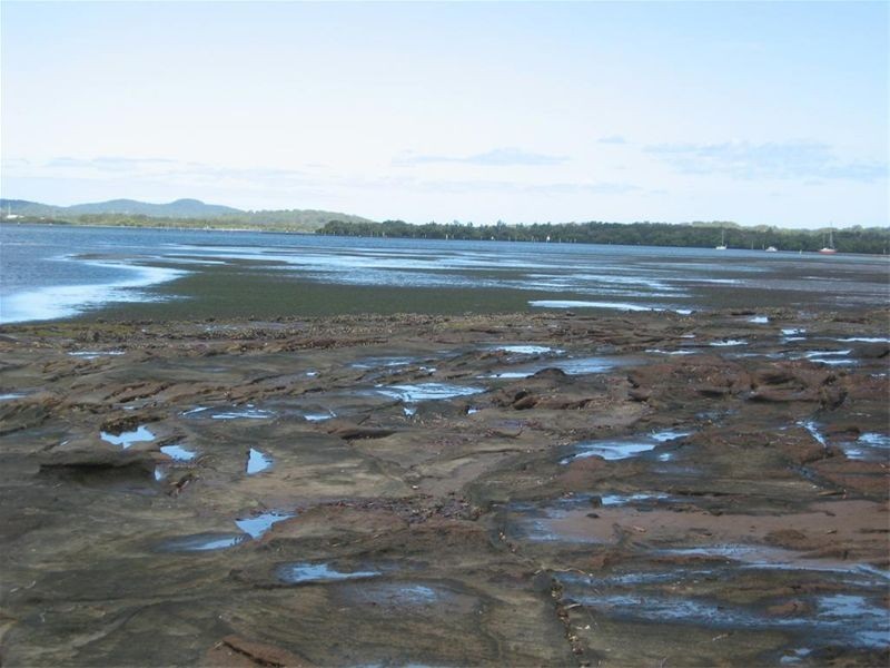 Lemon Tree Passage NSW 2319