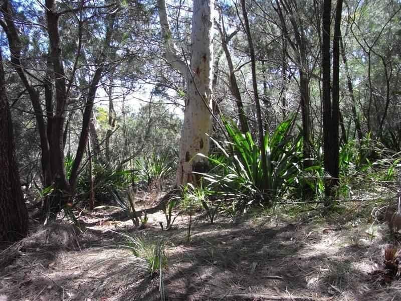Nelson Bay NSW 2315