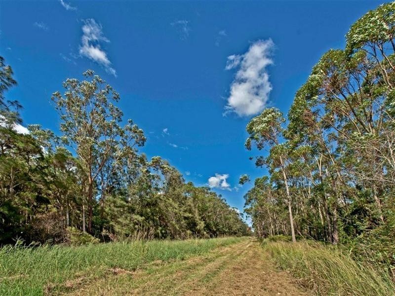 67A Abundance Road, Medowie NSW 2318
