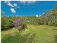 67A Abundance Road, Medowie NSW 2318