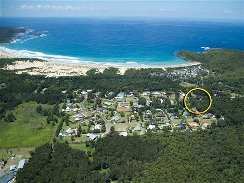 24 Eucalyptus Drive, One Mile NSW 2316