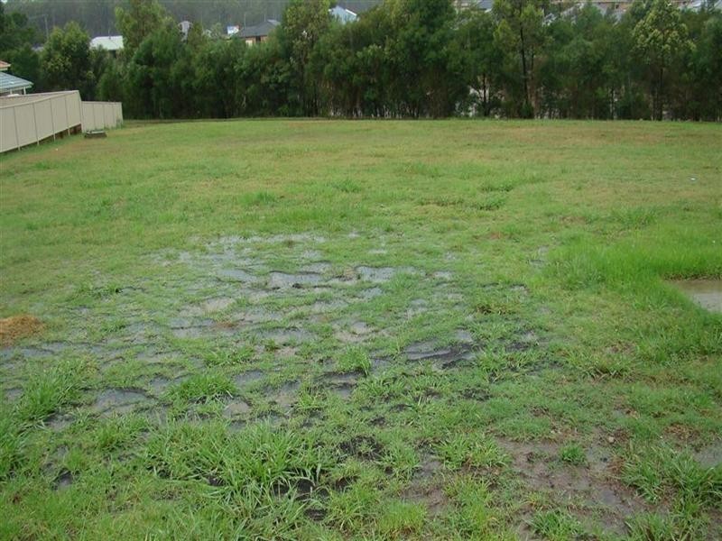 Lot 703 Bingara Street, Rutherford NSW 2320