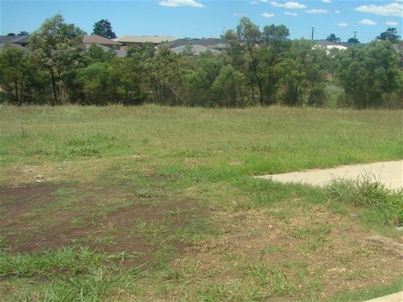 Lot 703 Bingara Street, Rutherford NSW 2320