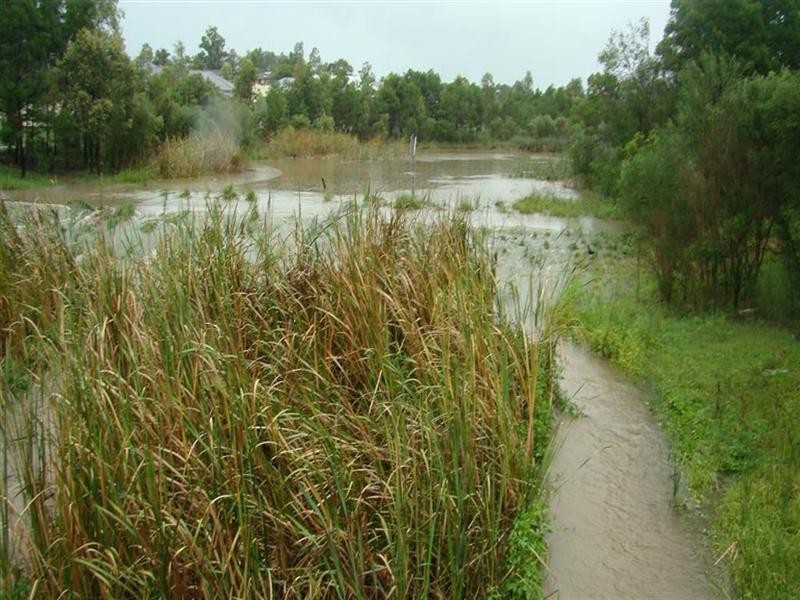 Lot 703 Bingara Street, Rutherford NSW 2320