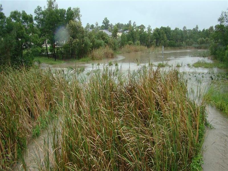 Lot 703 Bingara Street, Rutherford NSW 2320