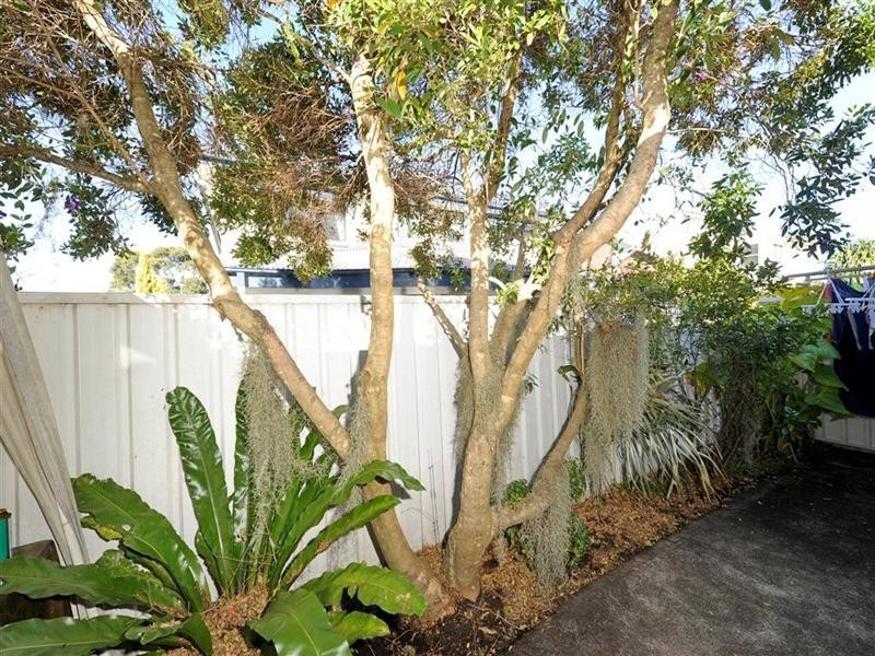 15 Whitesands Road, Fingal Bay NSW 2315