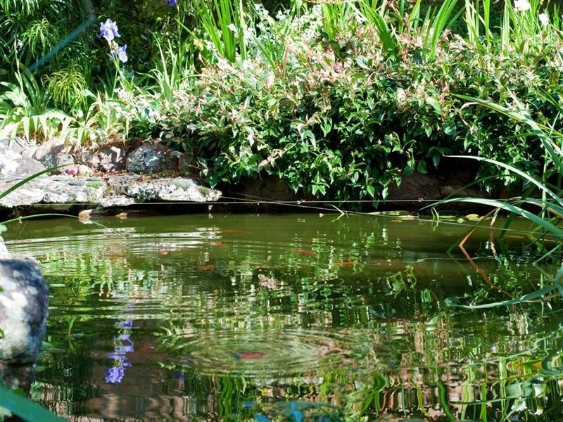 Salamander Bay NSW 2317