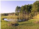 Bobs Farm NSW 2316